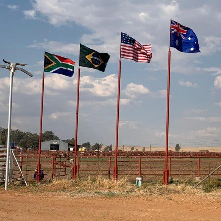 Largest supplier of branded gazebos and flags and banners in south africa